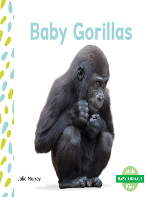 cover image of Baby Gorillas